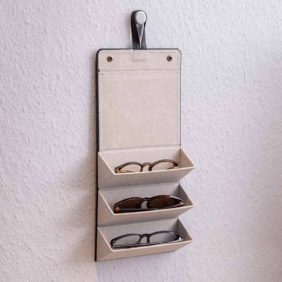 Brillenorganizer 